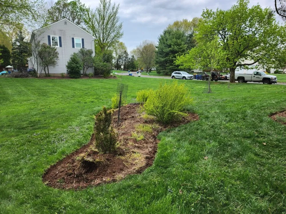 Professional yard cleanup service experts serving Far Hills, NJ - Barreira landscaping