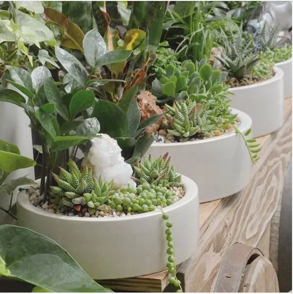 Local yard cleanup service in Encinitas, CA - Barrels & Branches