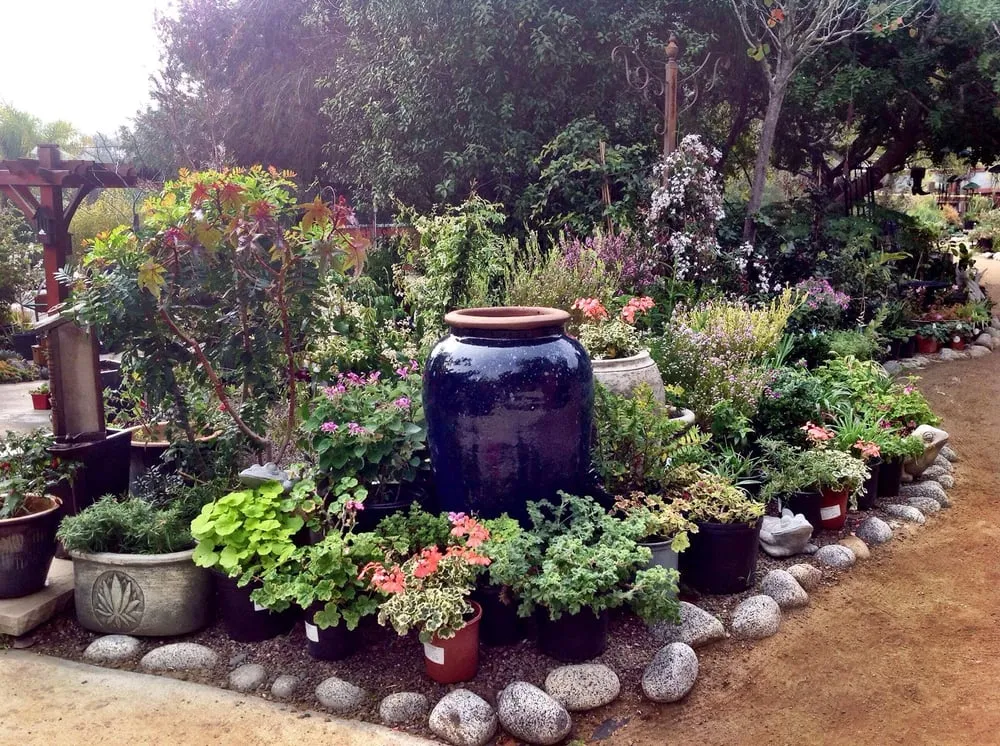 Professional residential landscaping near you across Encinitas, CA - Barrels & Branches