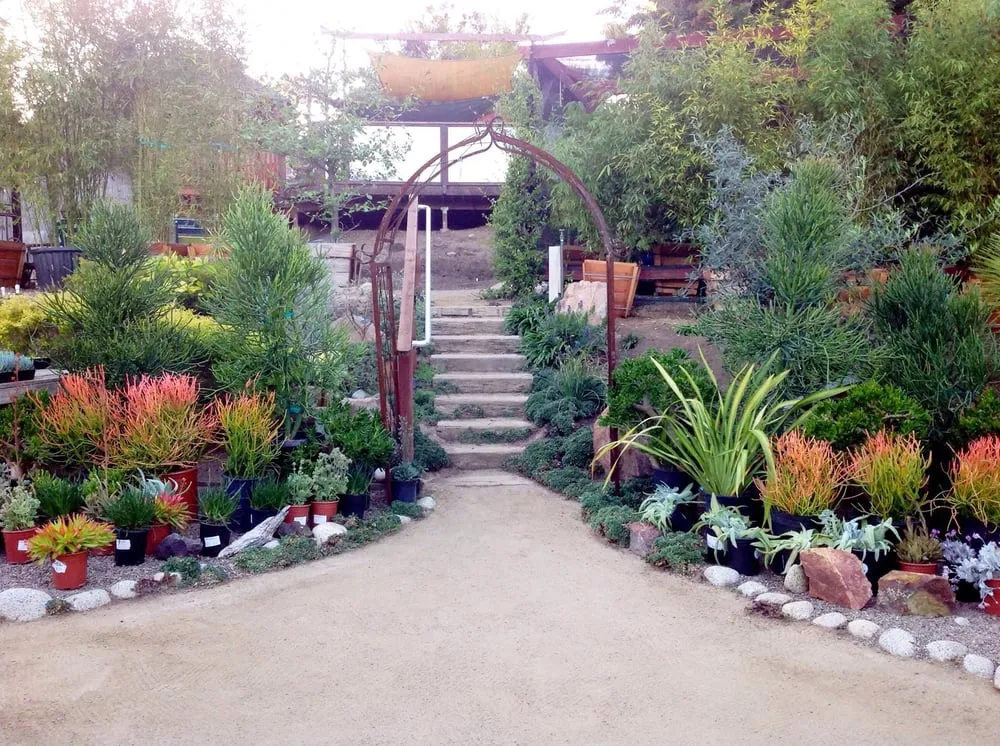 Custom lawn mowing service near you in Encinitas, CA by Barrels & Branches