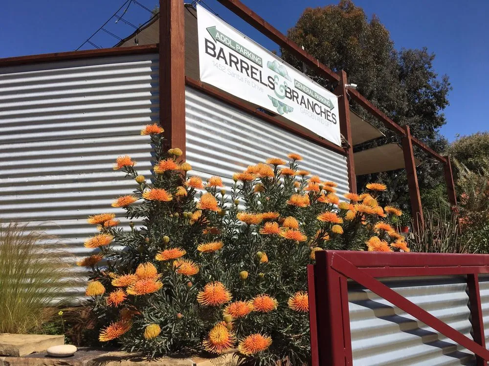 Affordable landscape installation with custom design in Encinitas, CA by Barrels & Branches