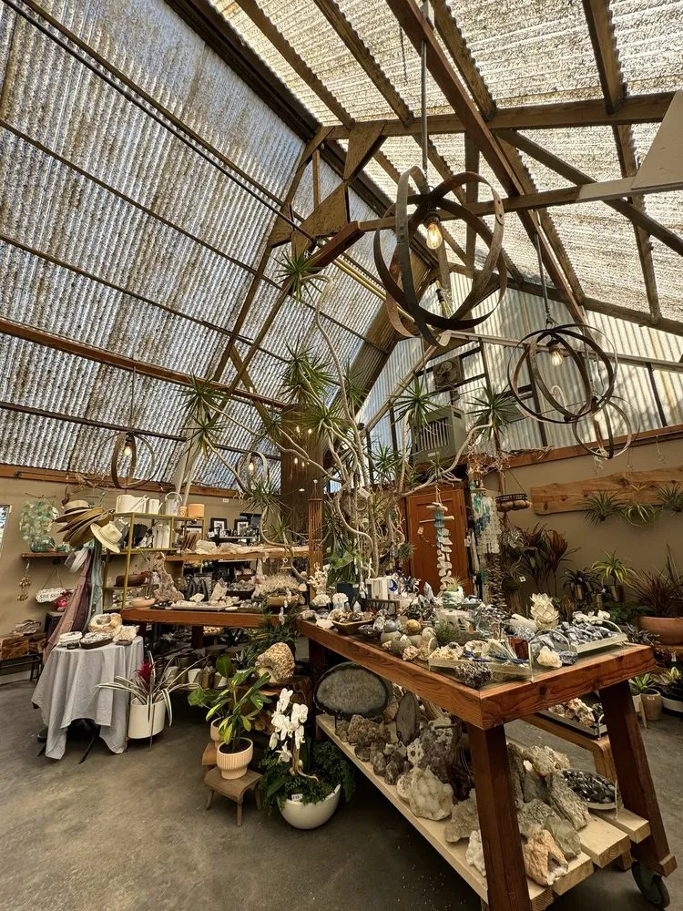 Professional residential landscaping experts serving Encinitas, CA - Barrels & Branches