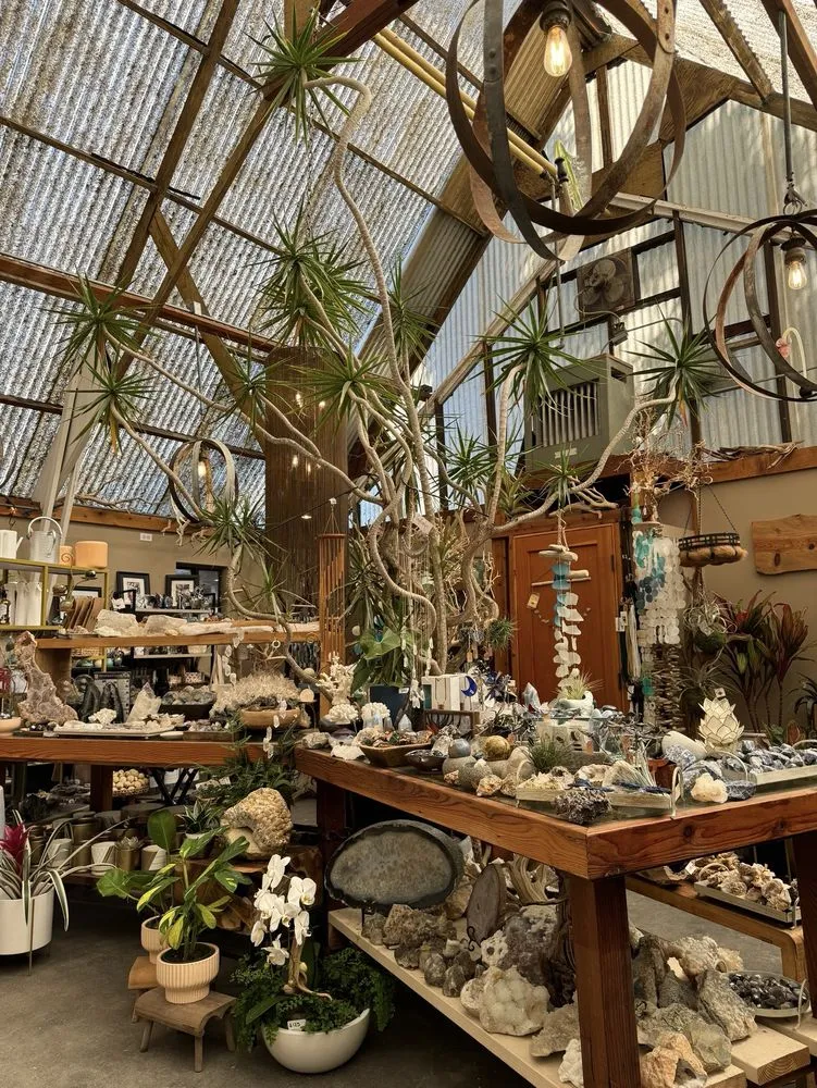 Expert landscaping services experts serving Encinitas, CA - Barrels & Branches