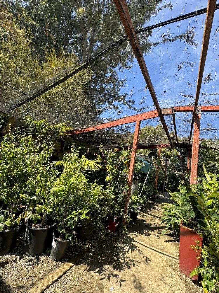 Professional lawn mowing service with custom design in Encinitas, CA by Barrels & Branches