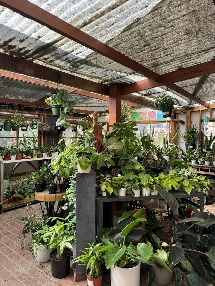 Expert landscape installation for residential properties in Encinitas, CA by Barrels & Branches