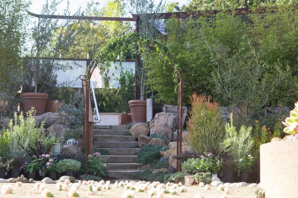 Expert lawn care service in Encinitas, CA - Barrels & Branches