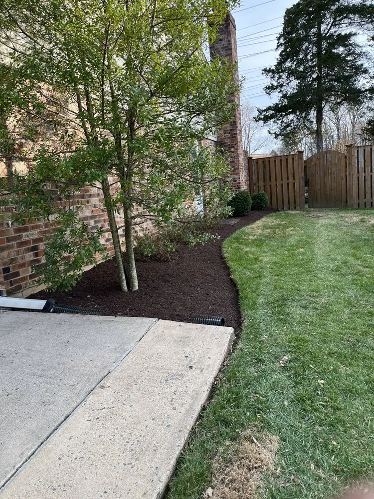 Custom residential landscaping in Silver Spring, MD by Barrera & Sons Landscaping