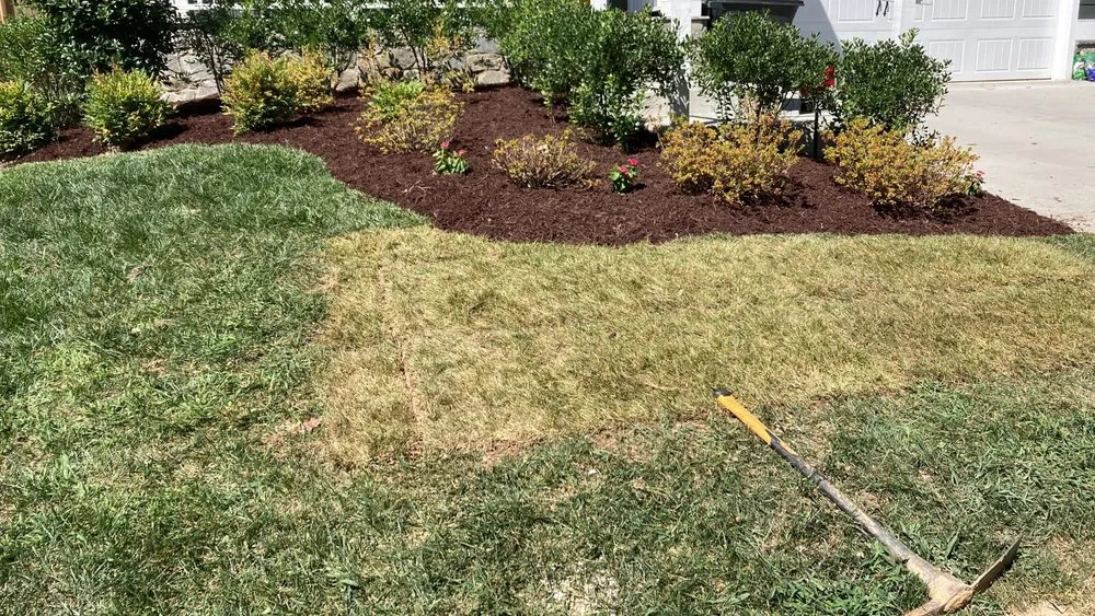 Affordable landscape installation in Silver Spring, MD - Barrera & Sons Landscaping