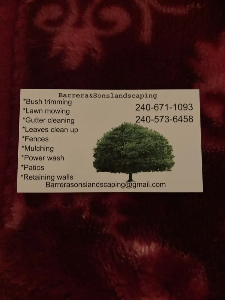 Top-rated residential landscaping for outdoor upgrades in Silver Spring, MD by Barrera & Sons Landscaping