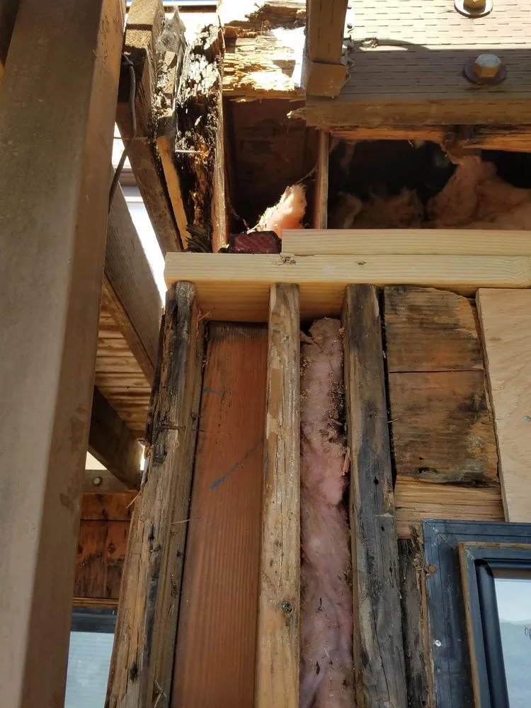 Affordable yard cleanup service for outdoor upgrades in Richmond, CA by Barrera Home Remodeling & Landscaping