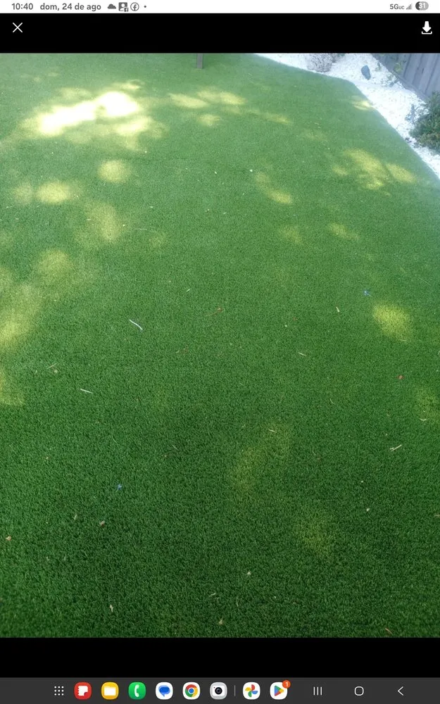 Affordable residential landscaping for outdoor upgrades in San Jose, CA by Barrera Lancapen Y Jardineria