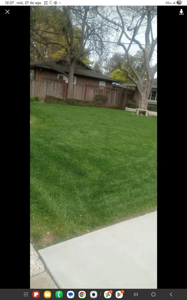 Reliable residential landscaping in San Jose, CA by Barrera Lancapen Y Jardineria