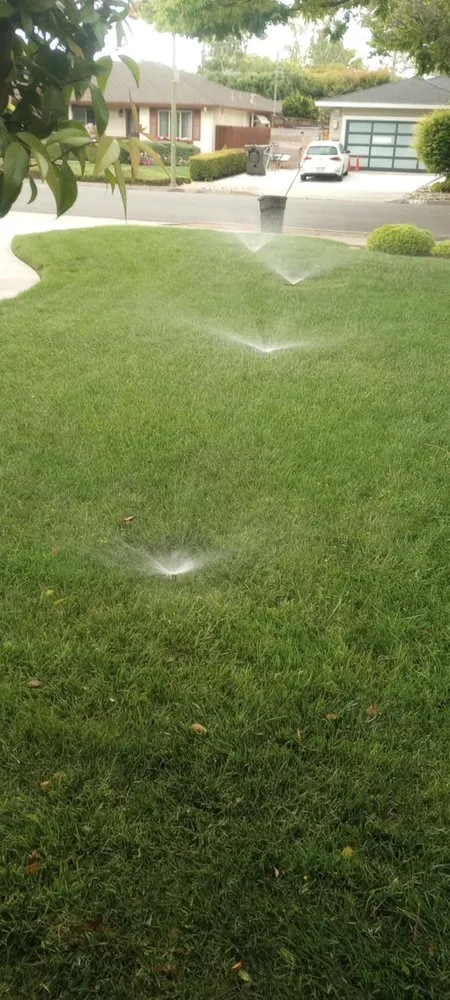 Top-rated outdoor landscaping experts serving San Jose, CA - Barrera Lancapen Y Jardineria