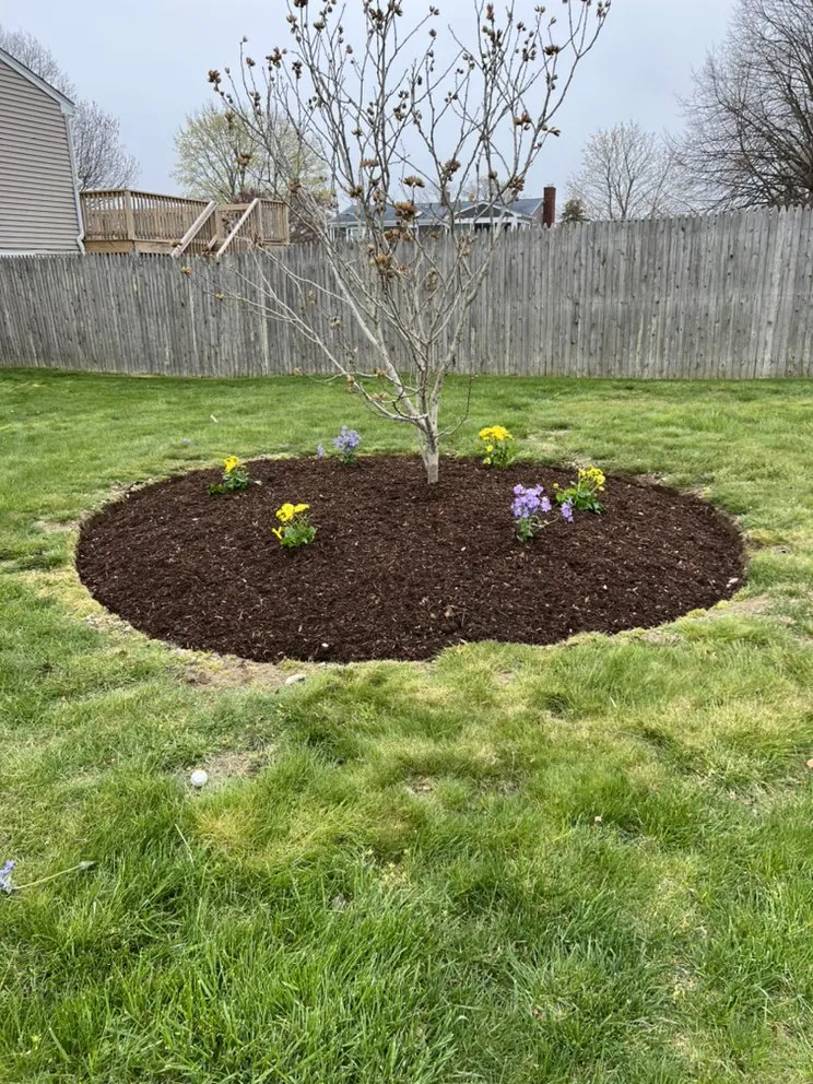 Top-rated yard maintenance experts serving Middletown, RI - Barrera Landscaping