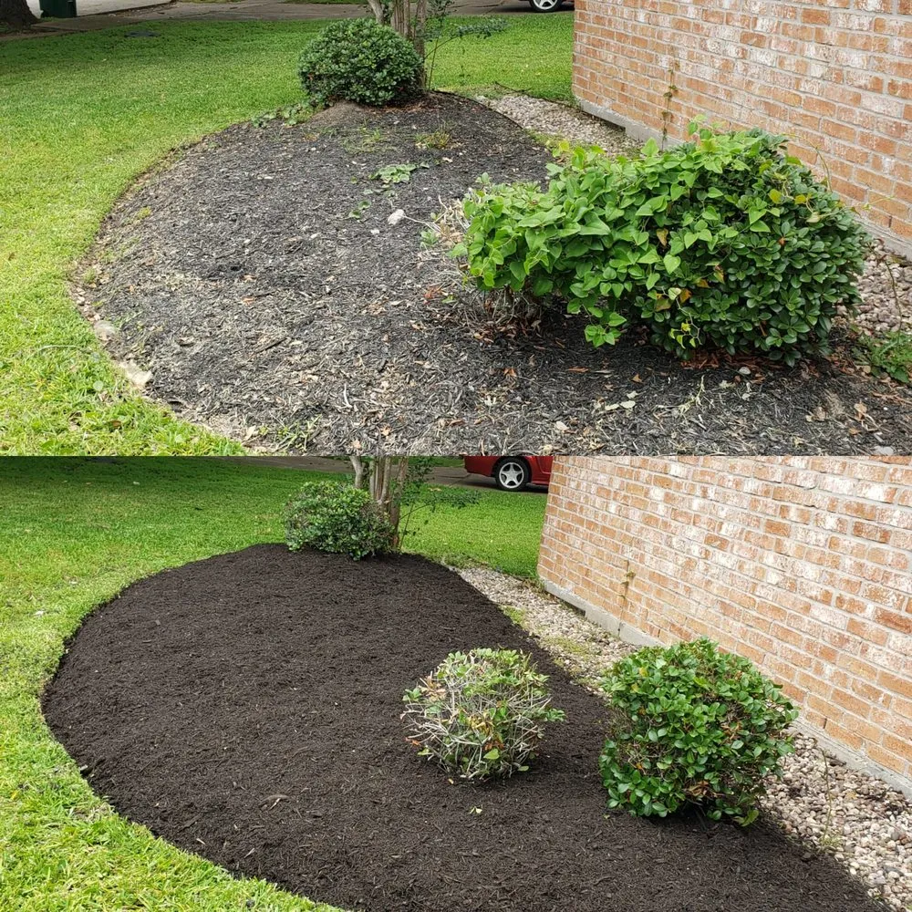 Professional yard maintenance experts serving Pasadena, TX - Barrera Landscaping Service