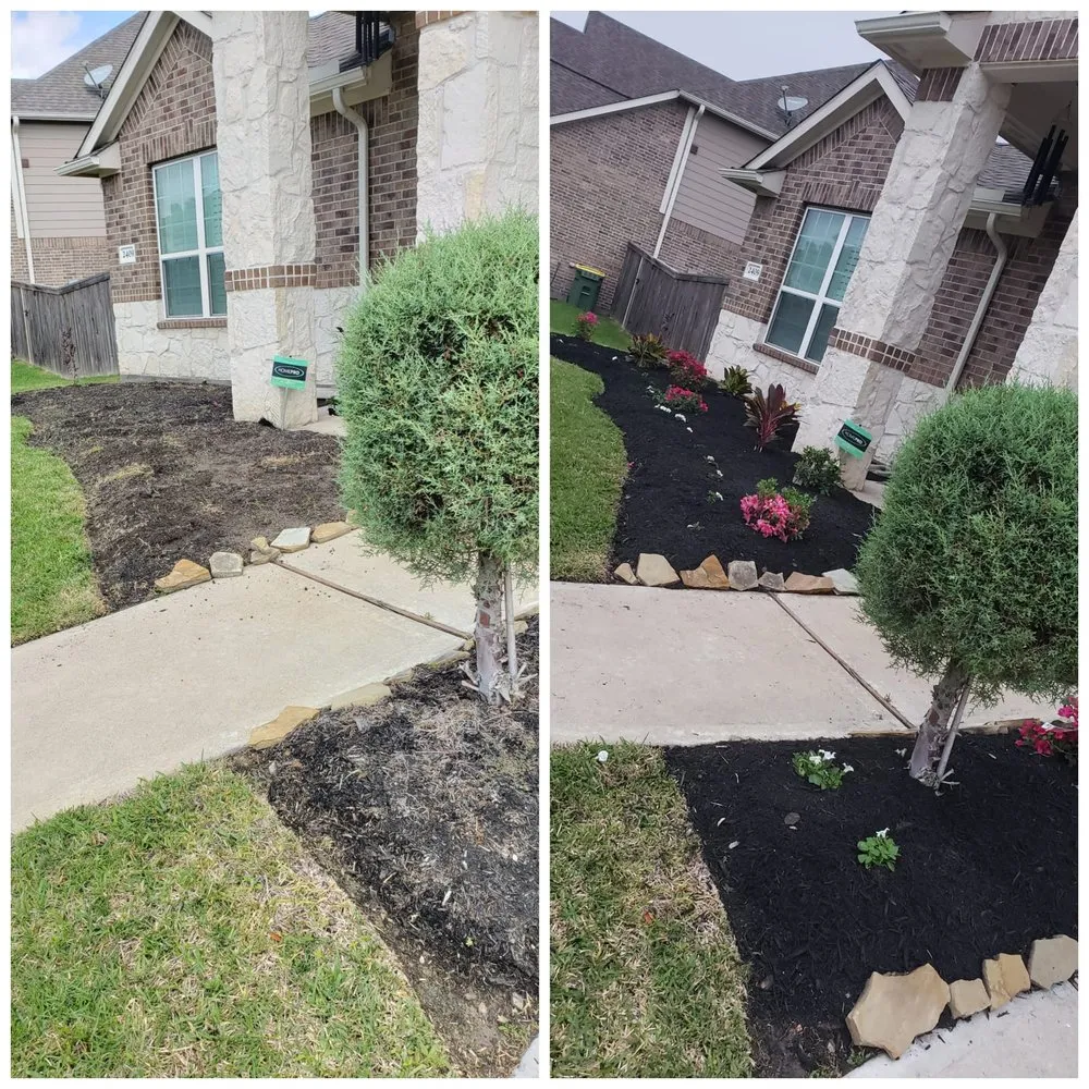 Custom lawn mowing service for year-round maintenance in Pasadena, TX by Barrera Landscaping Service
