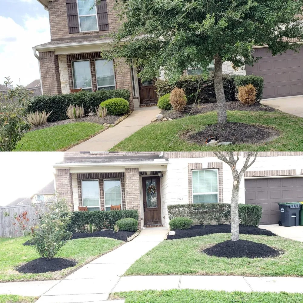 Top-rated residential landscaping for residential properties in Pasadena, TX by Barrera Landscaping Service