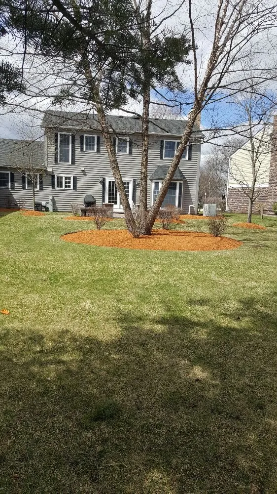 Affordable yard cleanup service experts serving West Chicago, IL - Barrera Tree Service