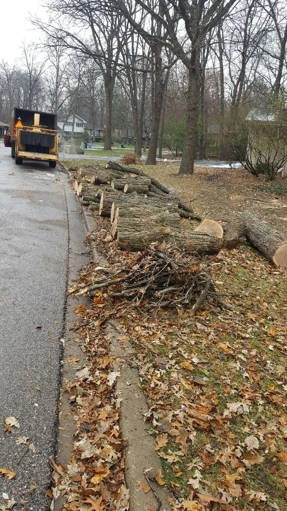 Affordable lawn care service with custom design across West Chicago, IL - Barrera Tree Service