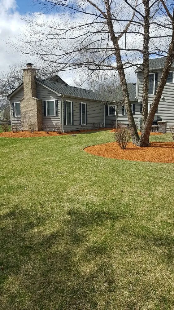 Custom lawn mowing service in West Chicago, IL by Barrera Tree Service