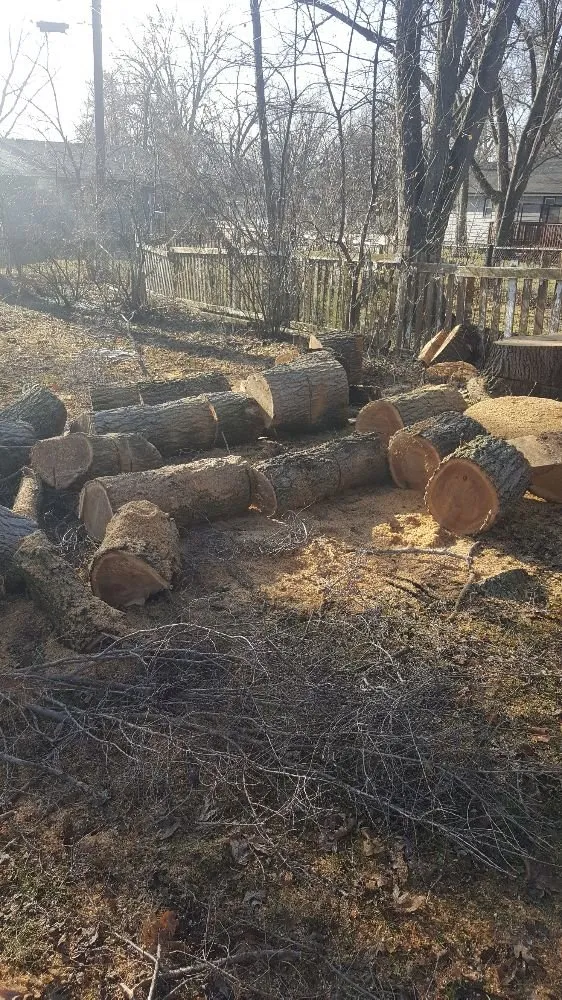 Trusted landscaping services for homes across West Chicago, IL - Barrera Tree Service