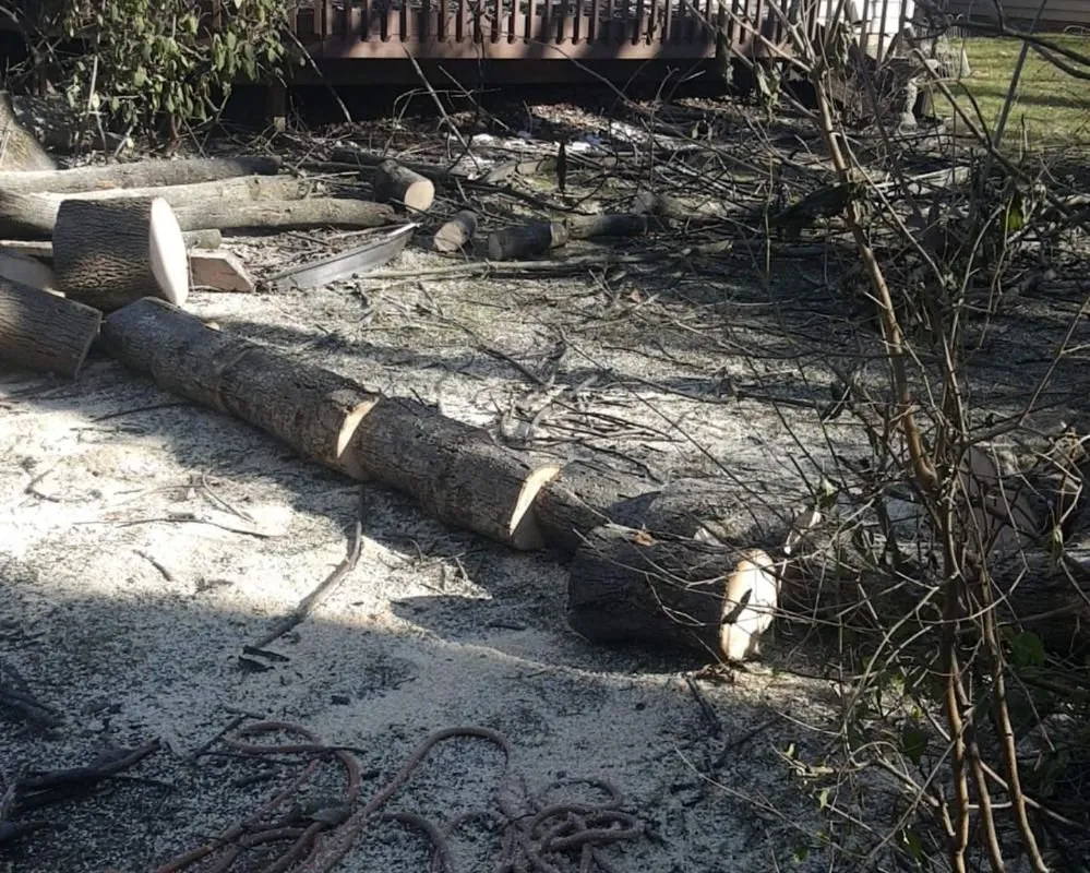 Expert lawn care service in West Chicago, IL by Barrera Tree Service