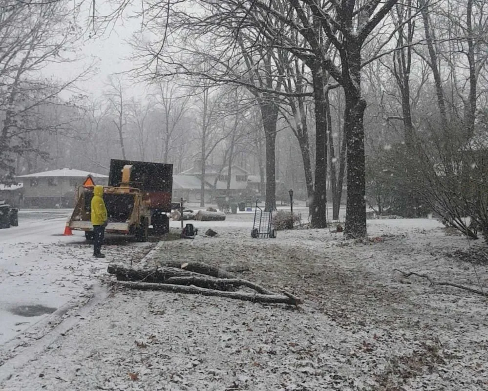 Professional garden landscaping in West Chicago, IL - Barrera Tree Service