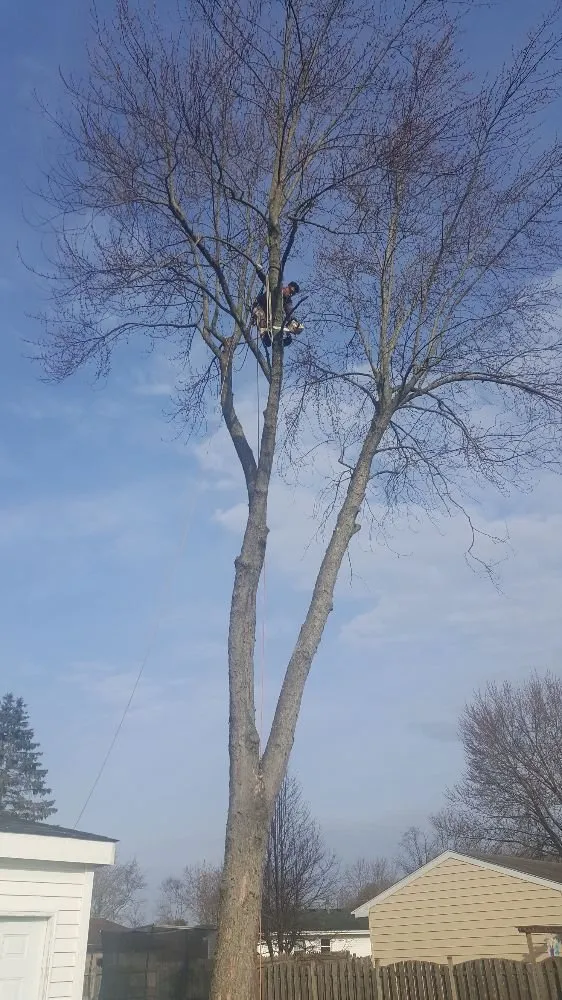 Custom garden landscaping experts serving West Chicago, IL - Barrera Tree Service