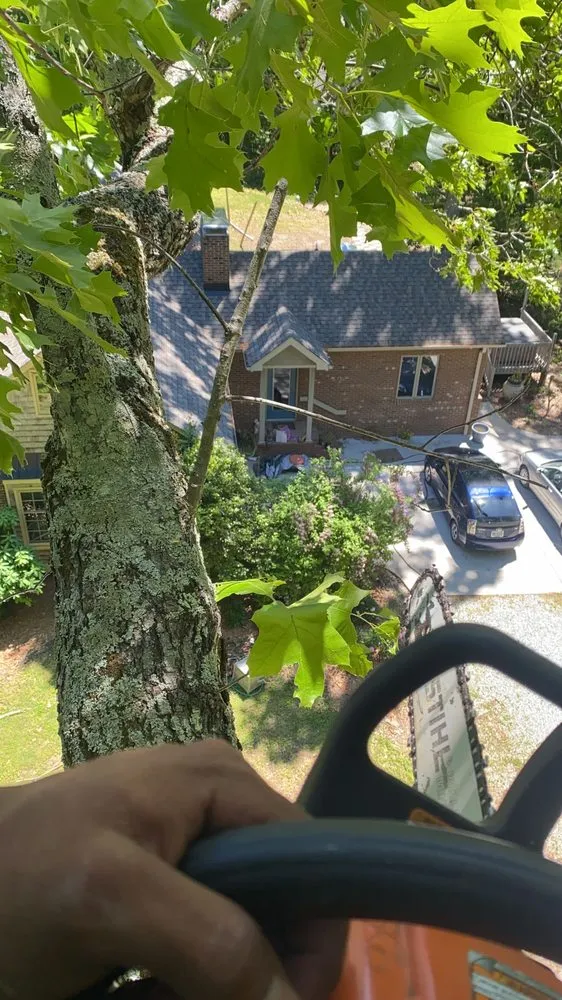 Local garden landscaping for outdoor upgrades across Chapel Hill, NC - Barreras Landscaping & Tree Service