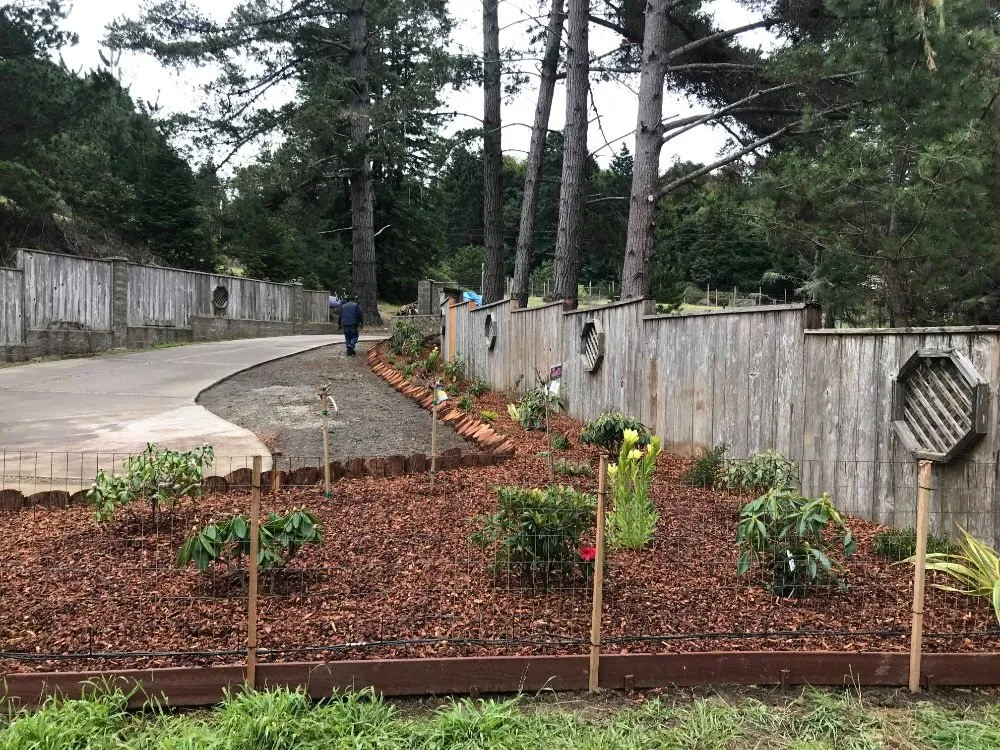 Custom lawn mowing service experts serving Fort Bragg, CA - Barrera's Ocean Front Lawn Care & Landscaping