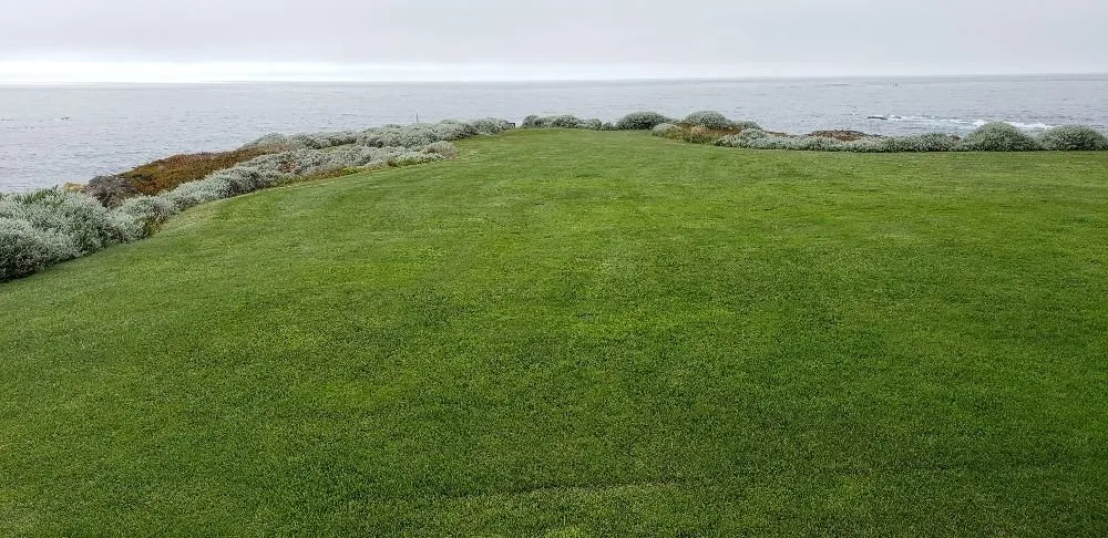 Trusted landscape design for residential properties across Fort Bragg, CA - Barrera's Ocean Front Lawn Care & Landscaping