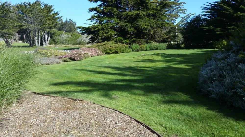 Trusted landscape design in Fort Bragg, CA - Barrera's Ocean Front Lawn Care & Landscaping