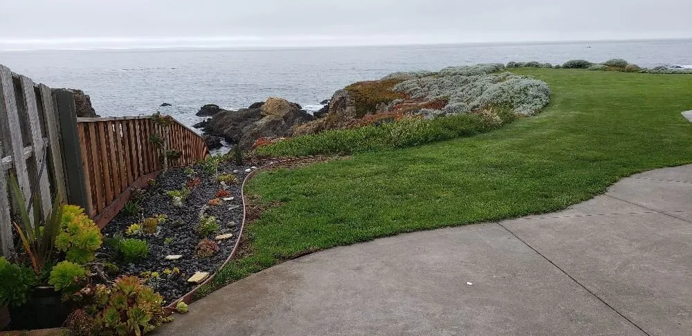 Expert outdoor landscaping for year-round maintenance across Fort Bragg, CA - Barrera's Ocean Front Lawn Care & Landscaping