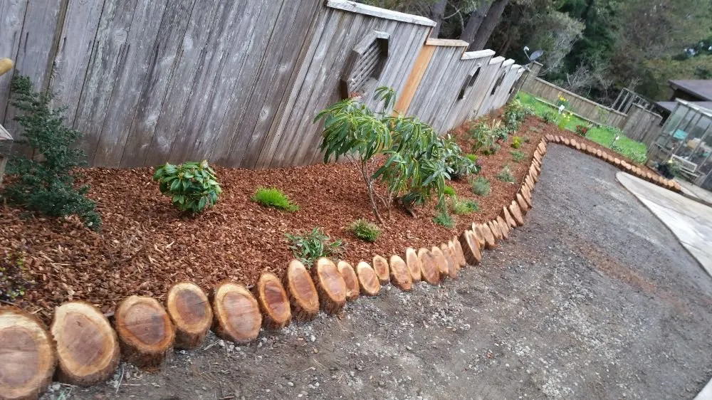 Reliable landscape design in Fort Bragg, CA - Barrera's Ocean Front Lawn Care & Landscaping