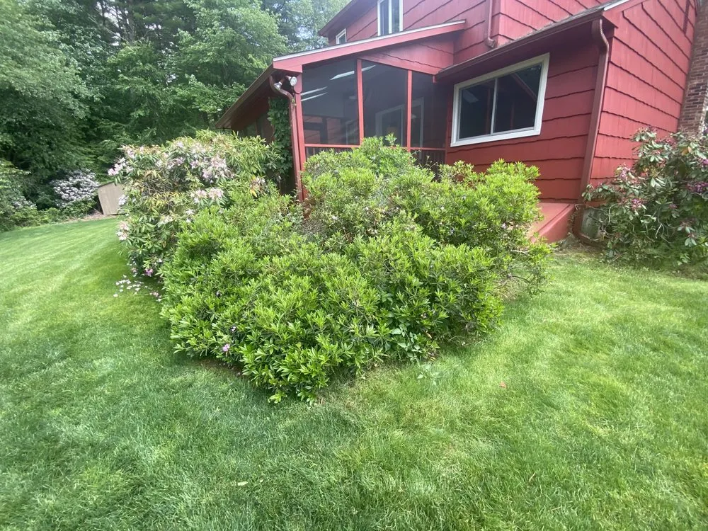 Top-rated yard cleanup service for homes across West Simsbury, CT - Barreto Landscaping
