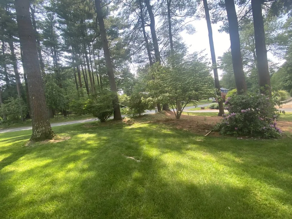 Professional garden landscaping experts serving West Simsbury, CT - Barreto Landscaping