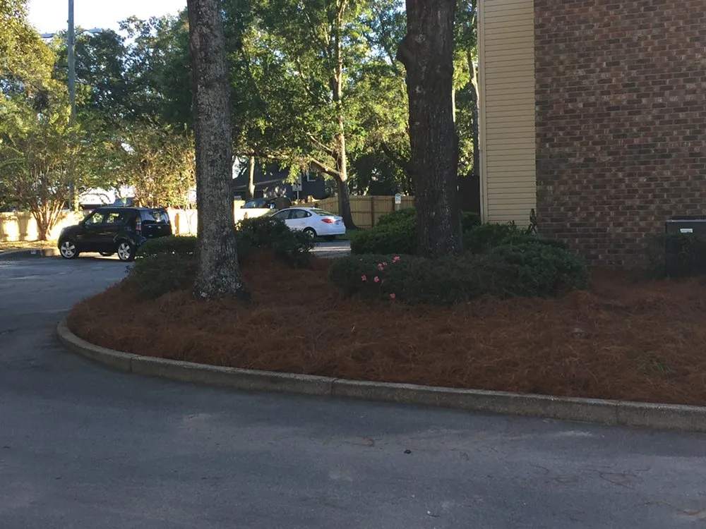 Affordable landscape installation in Gulf Breeze, FL by Barrett Landscape