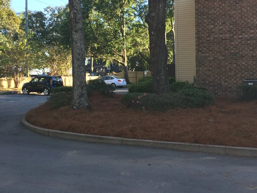 Trusted landscape design in Gulf Breeze, FL by Barrett Landscape