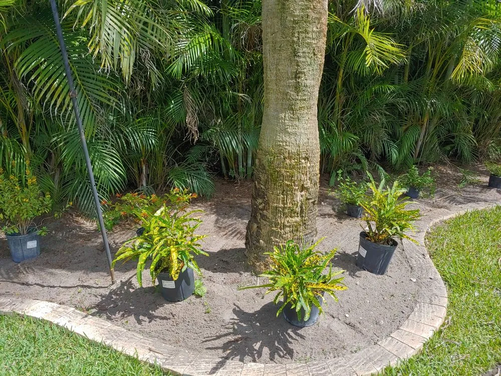 Expert yard cleanup service in Melbourne, FL - Barrett Landscaping & Garden Center