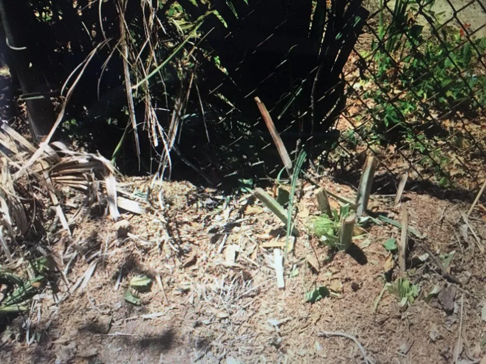 Affordable lawn mowing service experts serving Savannah, GA - Barrett Landscaping