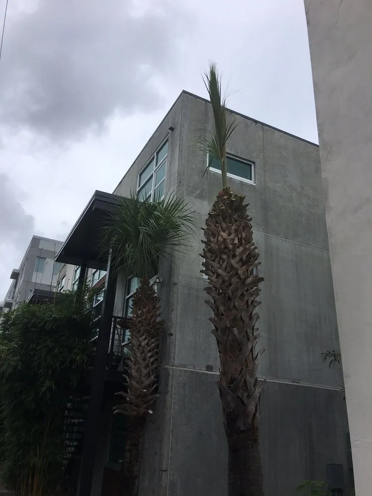 Top-rated garden landscaping for beautiful yards in Savannah, GA by Barrett Landscaping