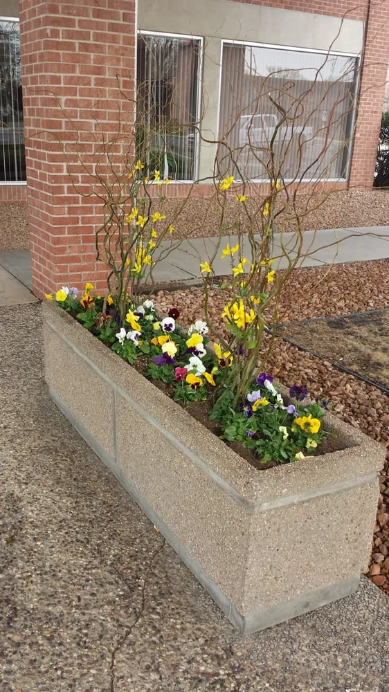 Custom yard maintenance for outdoor upgrades across Minneapolis, MN - Barrett Lawn Care