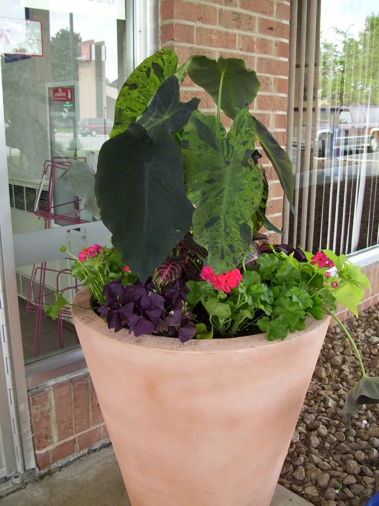 Top-rated residential landscaping in Minneapolis, MN - Barrett Lawn Care