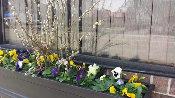 Professional landscaping services in Minneapolis, MN - Barrett Lawn Care