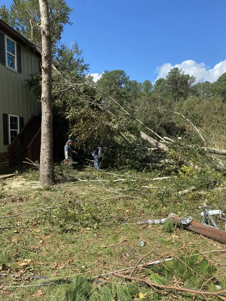 Affordable residential landscaping experts serving Grovetown, GA - Barrett Tree Removal and Landscaping