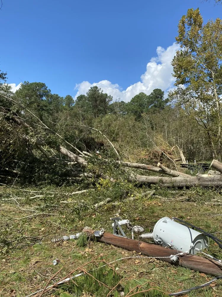 Top-rated garden landscaping experts serving Grovetown, GA - Barrett Tree Removal and Landscaping