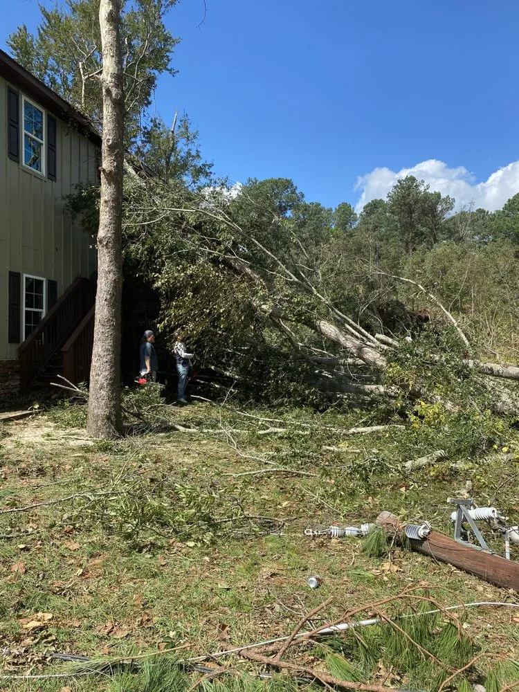 Professional landscaping services in Grovetown, GA by Barrett Tree Removal and Landscaping