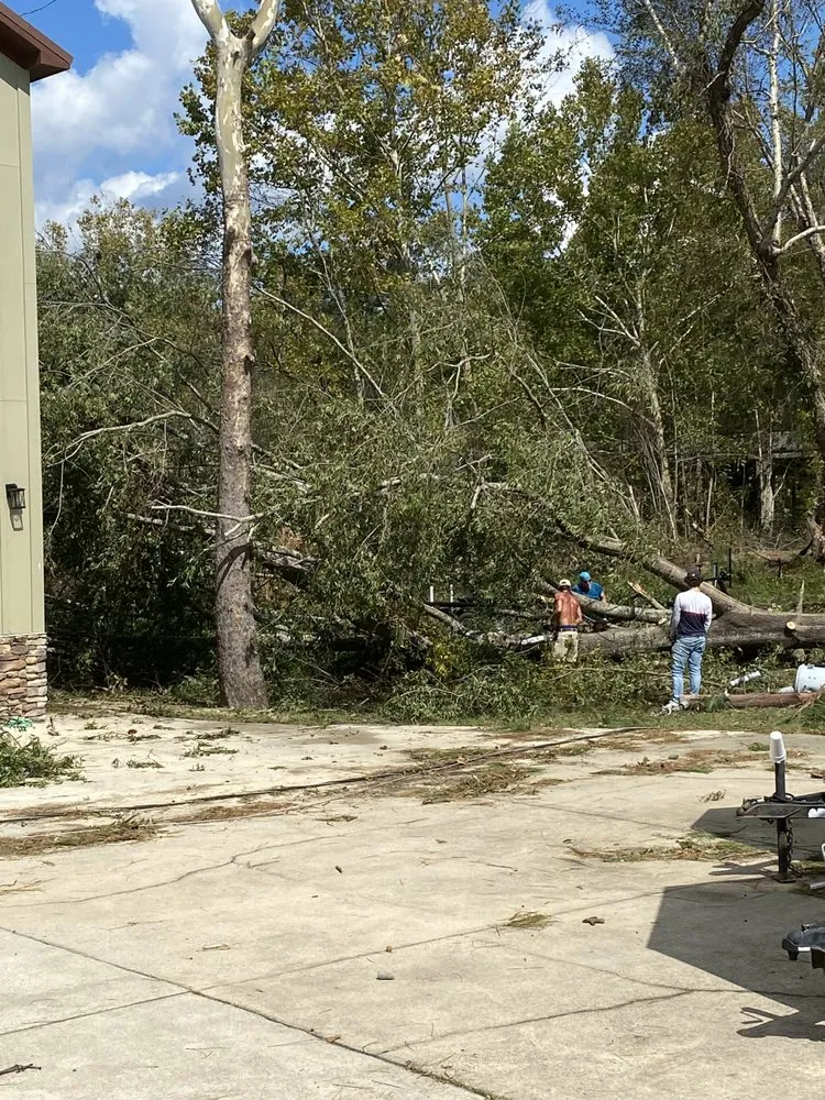 Top-rated landscaping services in Grovetown, GA - Barrett Tree Removal and Landscaping