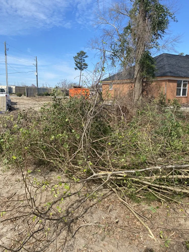 Reliable landscape design experts serving Grovetown, GA - Barrett Tree Removal and Landscaping