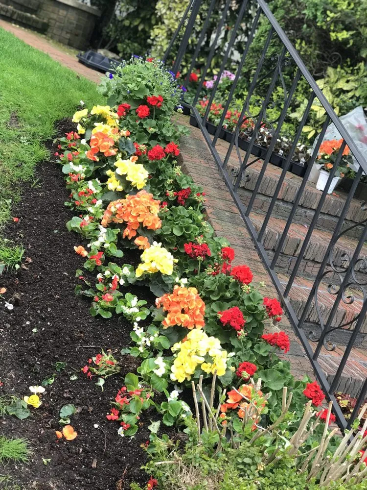 Top-rated yard cleanup service for beautiful yards across Brooklyn, NY - Barricella Bro's Landscaping & Tree Removal